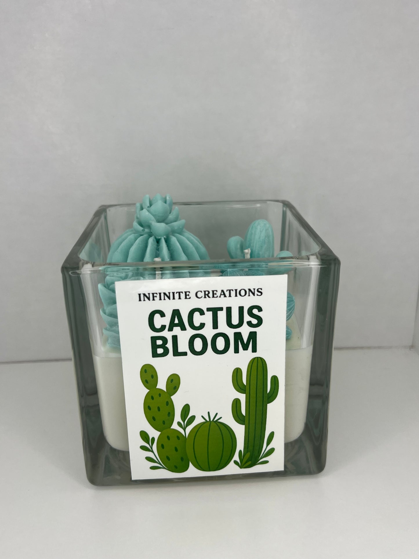 Cactus Bloom